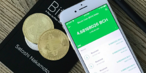 "Bitcoin coins and a smartphone displaying a Bitcoin Cash wallet balance on top of a book titled 'Bitcoin: A Peer-to-Peer Electronic Cash System' by Satoshi Nakamoto