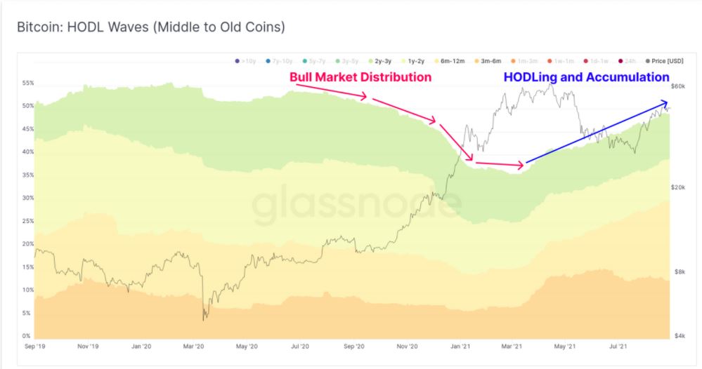 Bitcoin HODL Waves chart