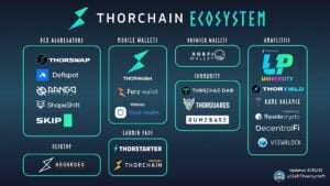 Infographic showcasing the diverse components of the THORChain ecosystem."