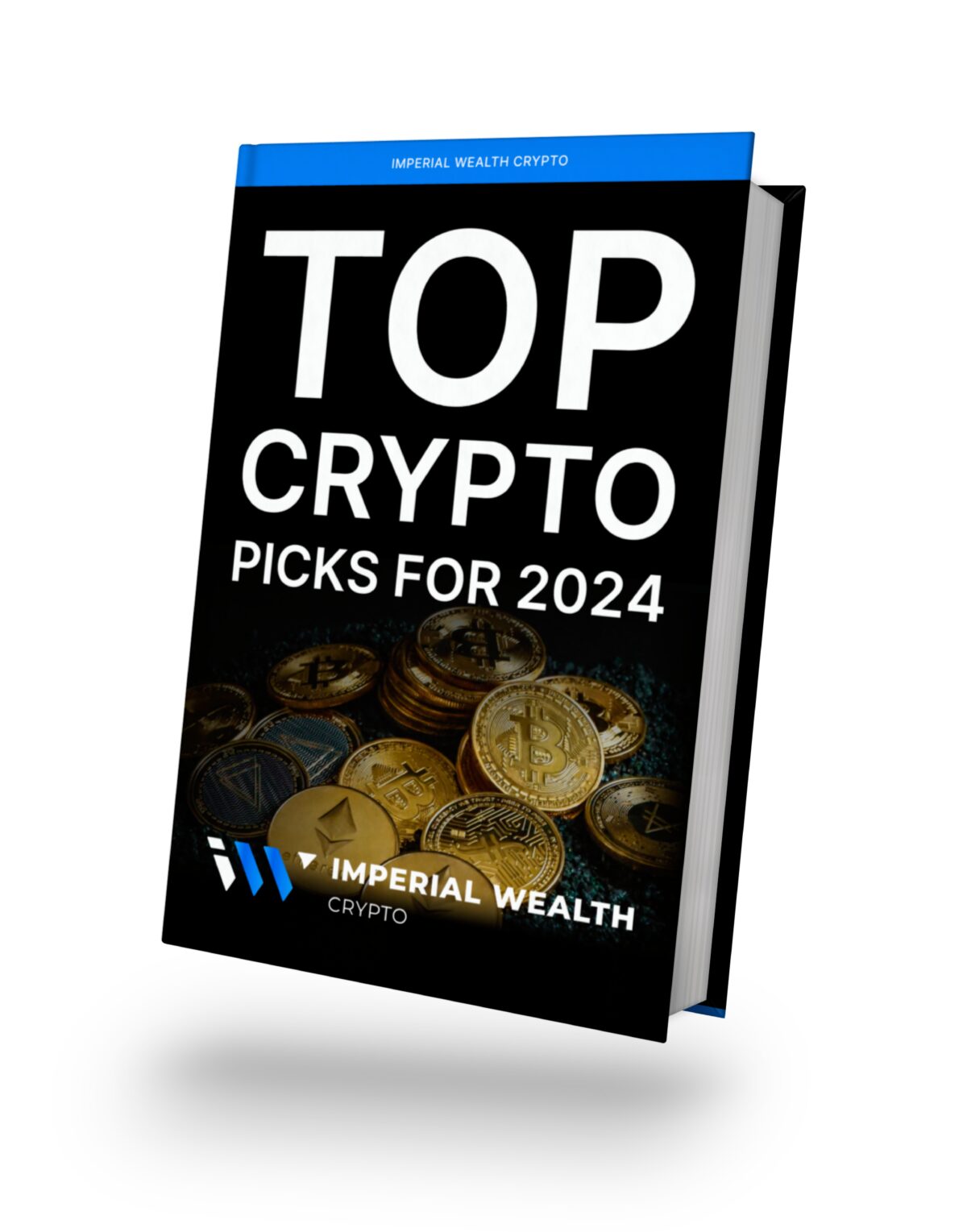 Top Picks For 2024 | miningstore.com.au
