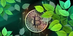 Conceptual image showing a Bitcoin coin surrounded by lush green leaves, symbolizing how to earn Green Bitcoin through sustainable methods