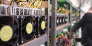 Rows of ASIC miners with technician in large-scale crypto facility