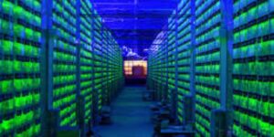 Large-scale Monero mining farm with multiple rigs operating under blue and green LED lighting.
