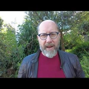 Tim Video Review